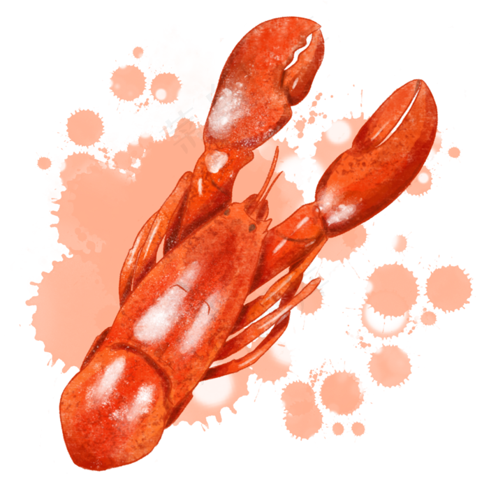 水彩食物龙虾(2000X2000(DPI:300))psd模版下载