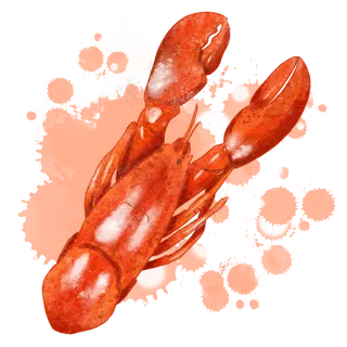 水彩食物龙虾