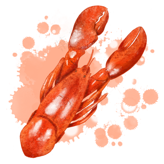 水彩食物龙虾