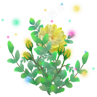 光点梦幻光感玫瑰月季