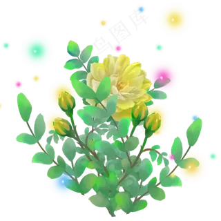 光点梦幻光感玫瑰月季