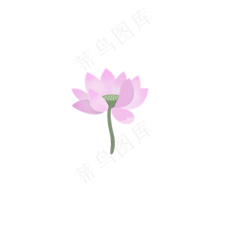 夏天手绘粉色荷花扁平风