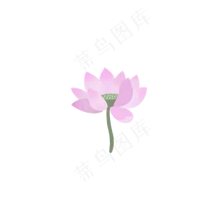 夏天手绘粉色荷花扁平风