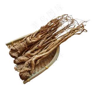 一筛子的野生人参,免抠元素