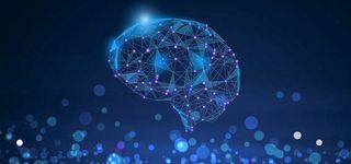 科技 大脑 粒子