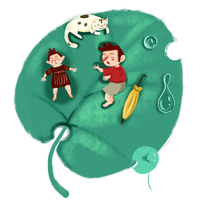 谷雨夏天下雨荷叶树叶叶子小猫免