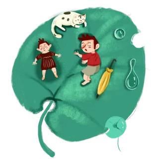 谷雨夏天下雨荷叶树叶叶子小猫免