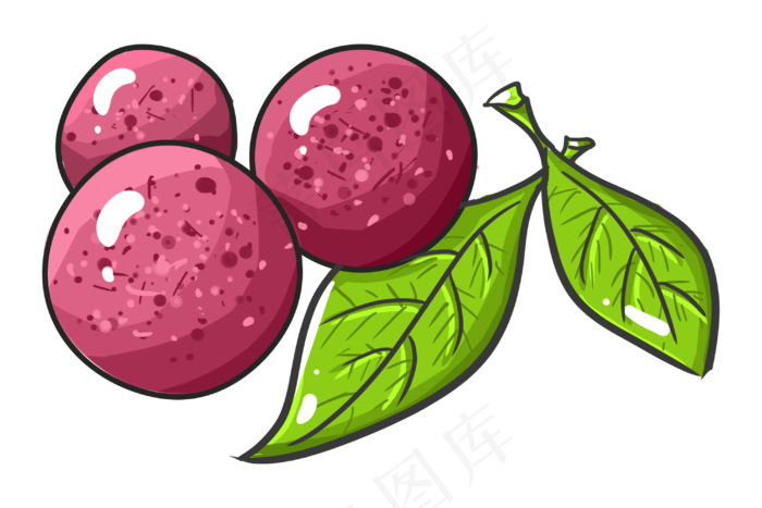 夏季水果杨梅插画