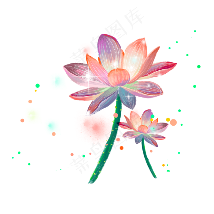 梦幻荷塘主题光斑中的荷花,免抠元素(2000*2000px 300 dpi )psd模版下载
