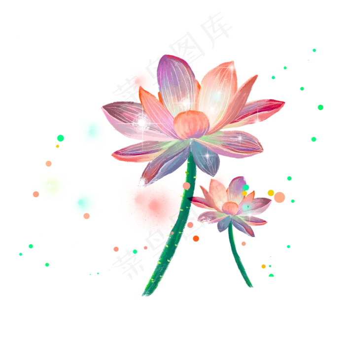 梦幻荷塘主题光斑中的荷花,免抠元素(2000*2000px 300 dpi )psd模版下载