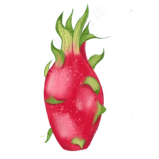 手绘夏日水果下载