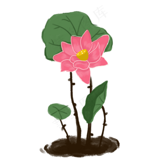 夏季荷花水墨装饰素材