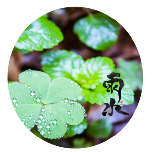 雨水节气绿叶,免抠元素
