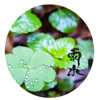 雨水节气绿叶,免抠元素