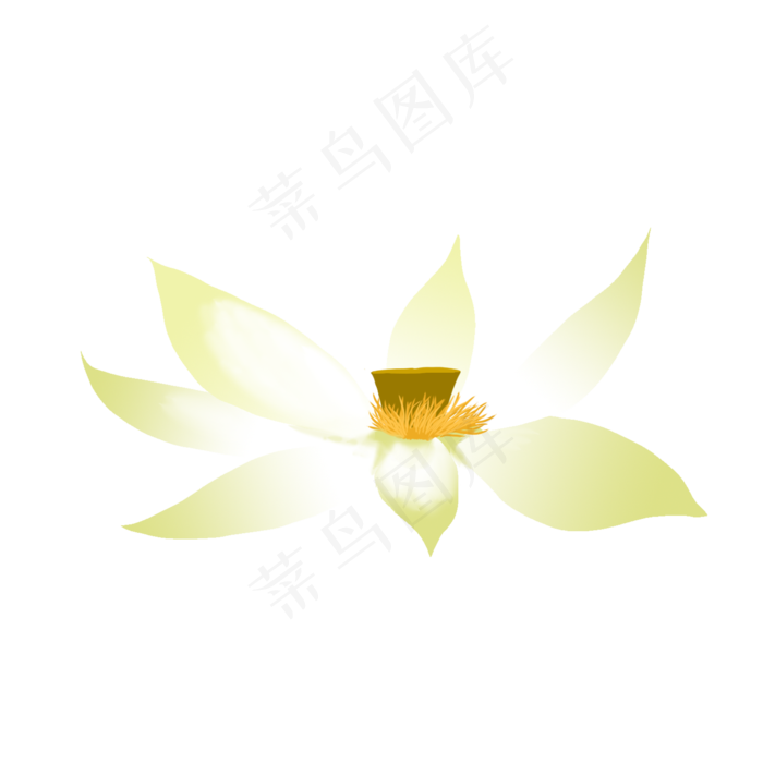夏日矢量荷花(2000X2000(DPI:300))psd模版下载