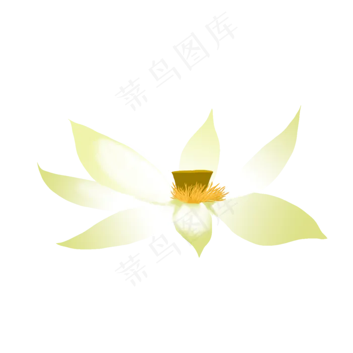 夏日矢量荷花(2000X2000(DPI:300))psd模版下载