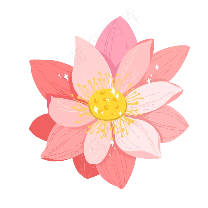 盛开荷花花朵(2000X2000(DPI:300))psd模版下载