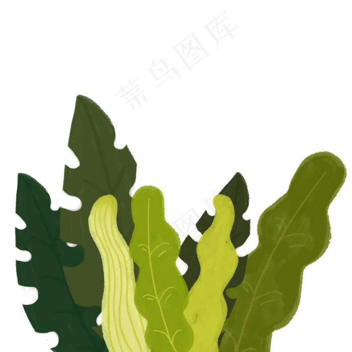 绿色叶子植物绿植