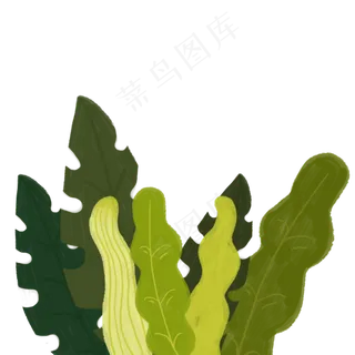 绿色叶子植物绿植