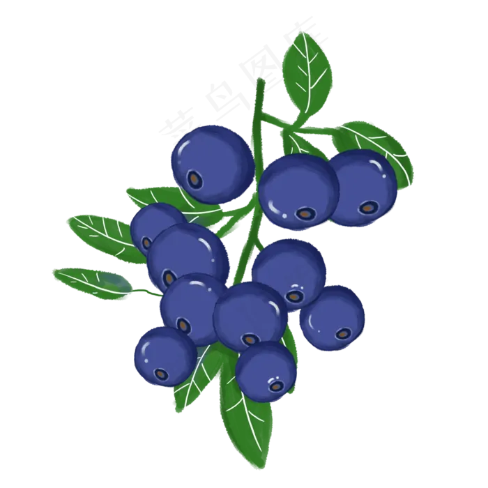 免扣水果蓝莓PNG元素(2000X2000(DPI:300))psd模版下载