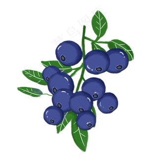 免扣水果蓝莓PNG元素