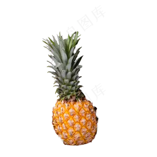 水果菠萝实物下载
