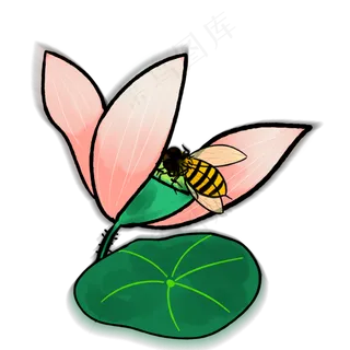 卡通古风蜜蜂与凋零的荷花PNG