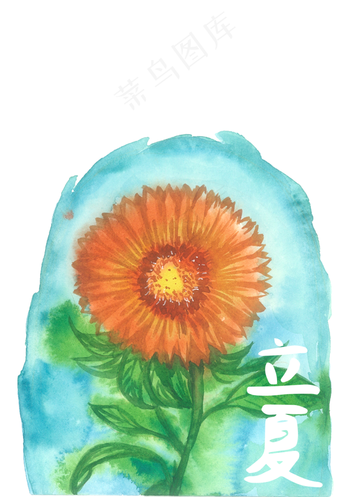 立夏二十四节气向日葵金色PNG花鸟,免抠元素(1748X2480(DPI:300))psd模版下载