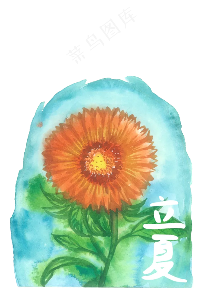 立夏二十四节气向日葵金色PNG花鸟,免抠元素(1748X2480(DPI:300))psd模版下载