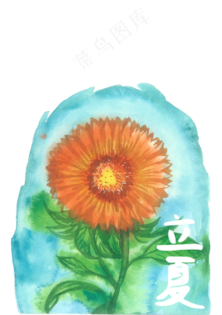 立夏二十四节气向日葵金色PNG花鸟,免抠元素