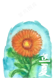 立夏二十四节气向日葵金色PNG花鸟,免抠元素 立夏二十四节气向日葵金色PNG花鸟,免抠元素