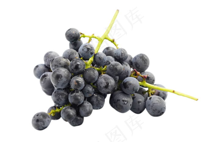 黑色葡萄食物