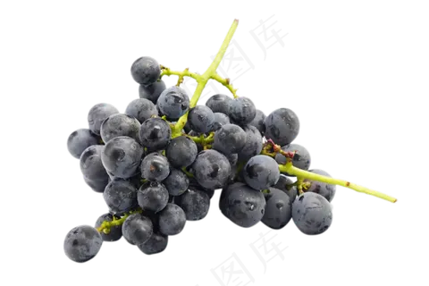 黑色葡萄食物