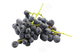 黑色葡萄食物