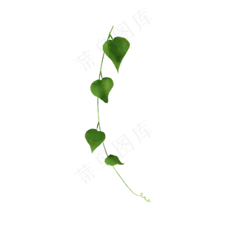小清新藤蔓树叶免抠