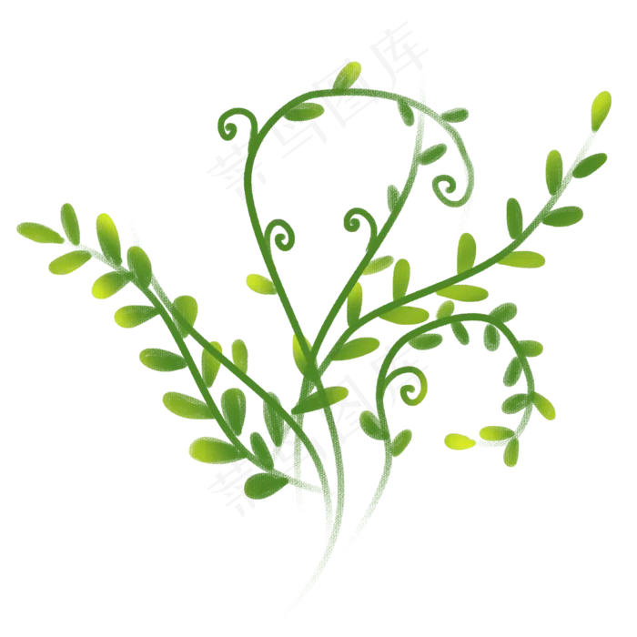 卡通绿色植物藤蔓(2000X2000(DPI:300))psd模版下载