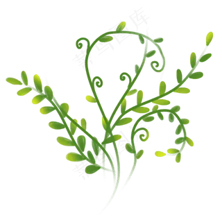 卡通绿色植物藤蔓