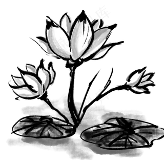 黑色水墨荷图片素材