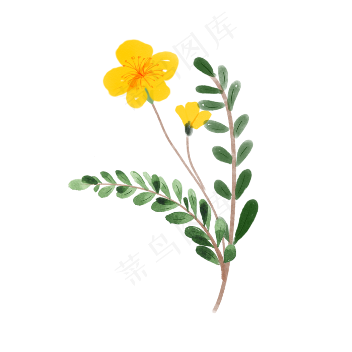 水彩植物绿叶手绘风小清新(2000X2000(DPI:300))psd模版下载