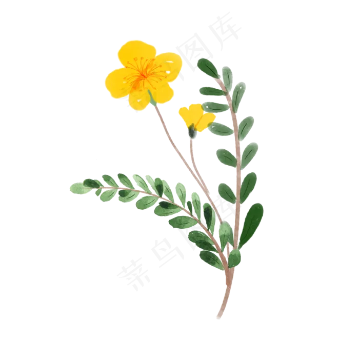 水彩植物绿叶手绘风小清新(2000X2000(DPI:300))psd模版下载