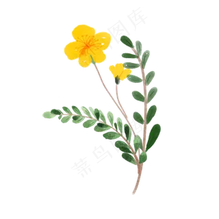 水彩植物绿叶手绘风小清新