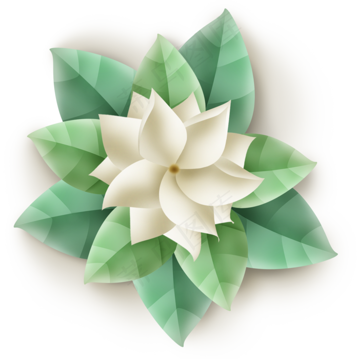 白色立体茉莉花(2000X2000(DPI:299))psd模版下载
