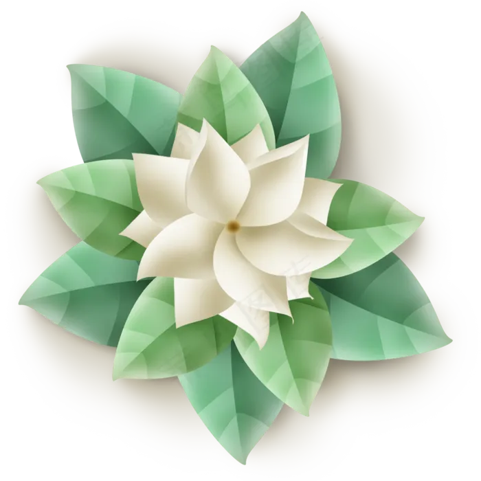 白色立体茉莉花(2000X2000(DPI:299))psd模版下载