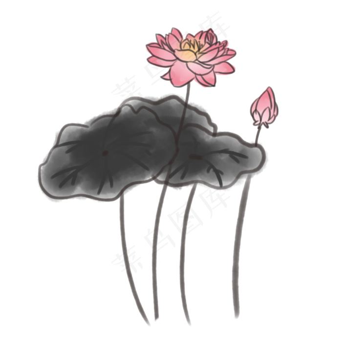中国传统水墨荷花