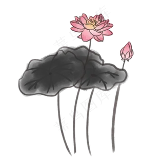 中国传统水墨荷花