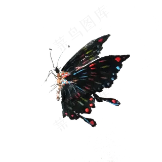 蝴蝶国画写意翅膀水墨PNG,免抠元素