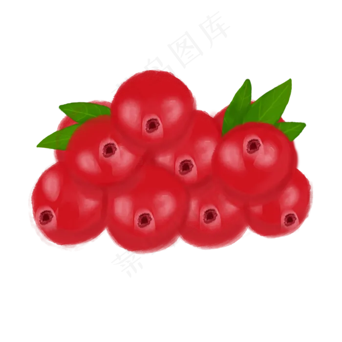 手绘水彩水果蔓越莓(2000X2000(DPI:300))psd模版下载