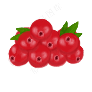 手绘水彩水果蔓越莓