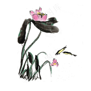 荷花荷叶水墨手绘