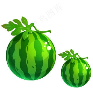 夏日绿色叶子水果西瓜